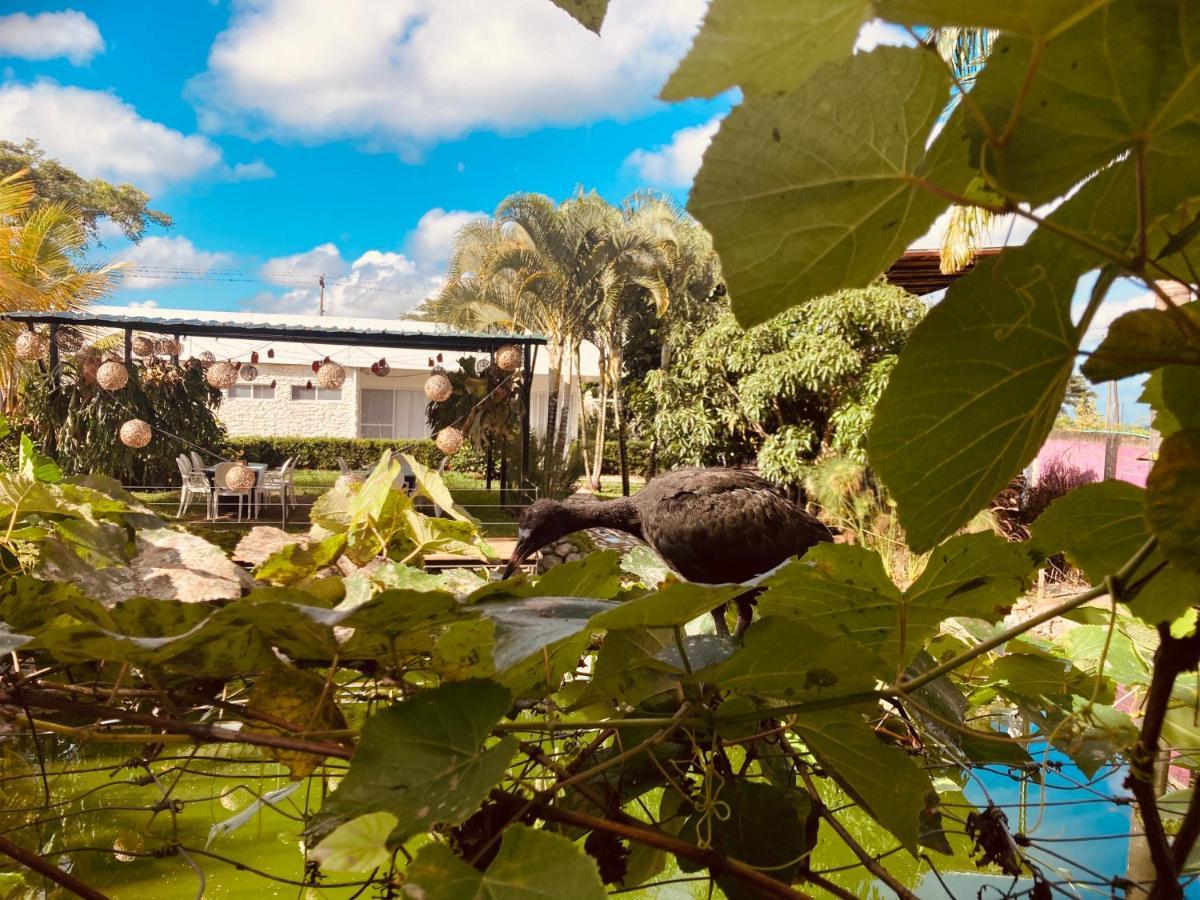 Villa Cristal Santa Elena  Exterior foto